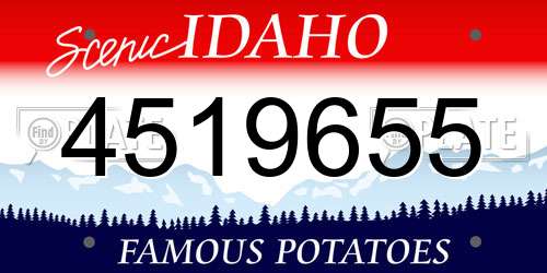 4519655 Idaho License Plate
