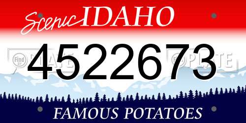4522673 Idaho License Plate