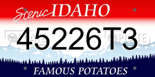 45226T3 Idaho License Plate