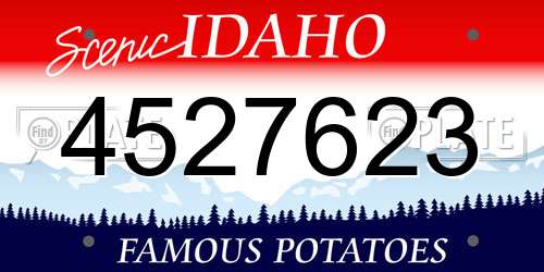 4527623 Idaho License Plate