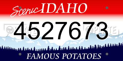 4527673 Idaho License Plate