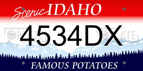 4534DX Idaho License Plate