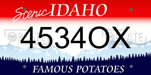 4534OX Idaho License Plate