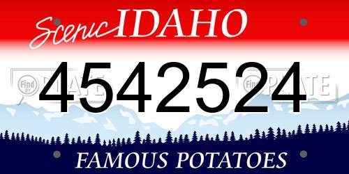 4542524 Idaho License Plate