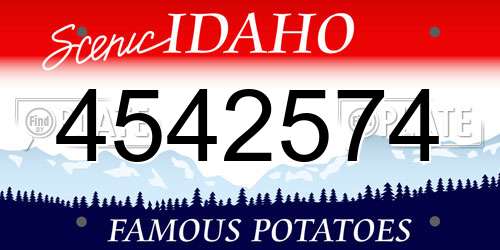 4542574 Idaho License Plate