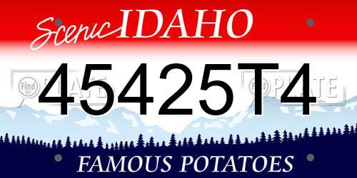 45425T4 Idaho License Plate