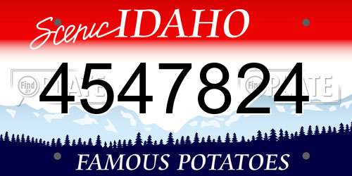 4547824 Idaho License Plate
