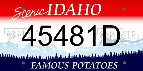 45481D Idaho License Plate