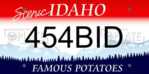 454BID Idaho License Plate