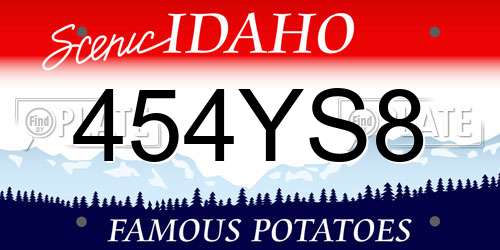 454YS8 Idaho License Plate