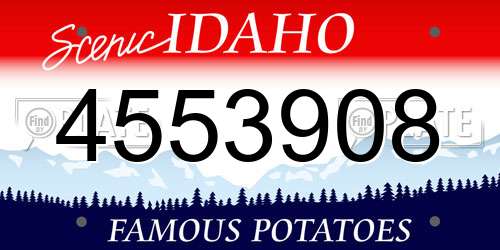 4553908 Idaho License Plate