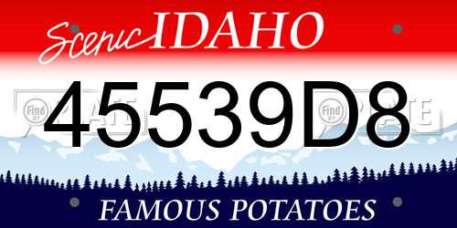 45539D8 Idaho License Plate