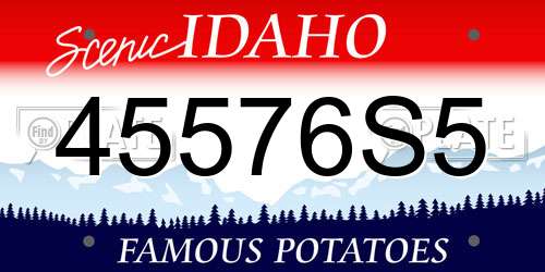 45576S5 Idaho License Plate