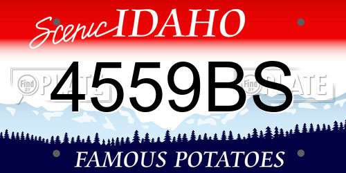4559BS Idaho License Plate