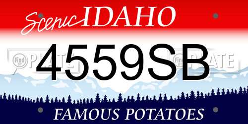 4559SB Idaho License Plate