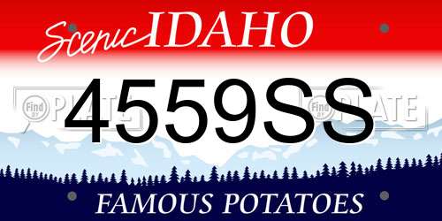 4559SS Idaho License Plate