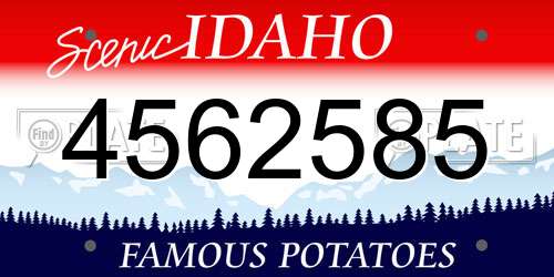 4562585 Idaho License Plate