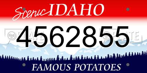 4562855 Idaho License Plate