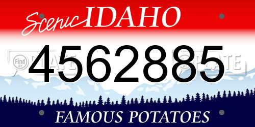 4562885 Idaho License Plate
