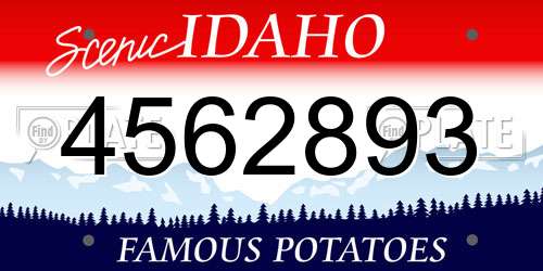 4562893 Idaho License Plate