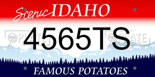 4565TS Idaho License Plate