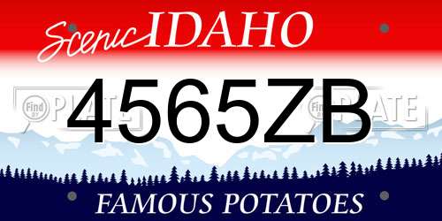 4565ZB Idaho License Plate