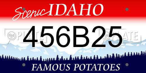 456B25 Idaho License Plate