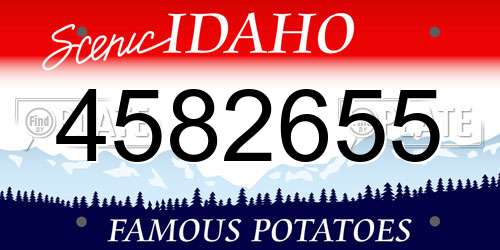 4582655 Idaho License Plate