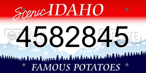 4582845 Idaho License Plate