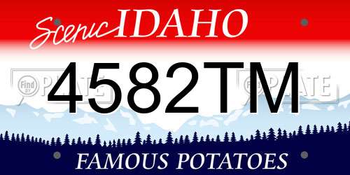4582TM Idaho License Plate