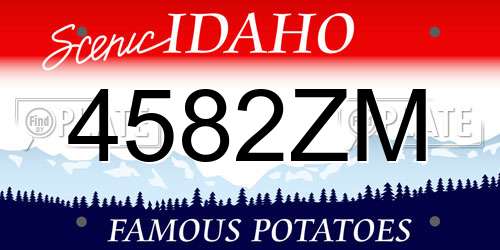4582ZM Idaho License Plate