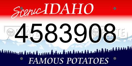 4583908 Idaho License Plate