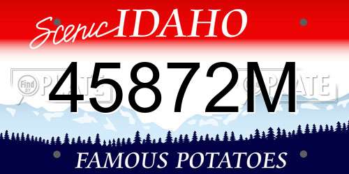 45872M Idaho License Plate
