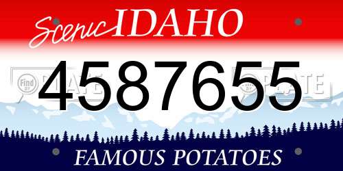 4587655 Idaho License Plate