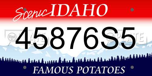 45876S5 Idaho License Plate