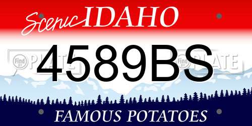 4589BS Idaho License Plate