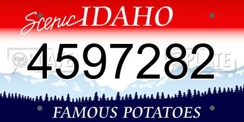 4597282 Idaho License Plate