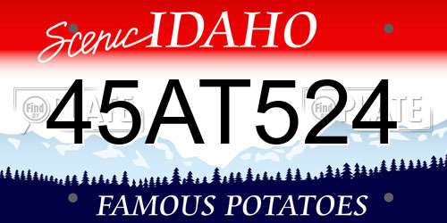 45AT524 Idaho License Plate
