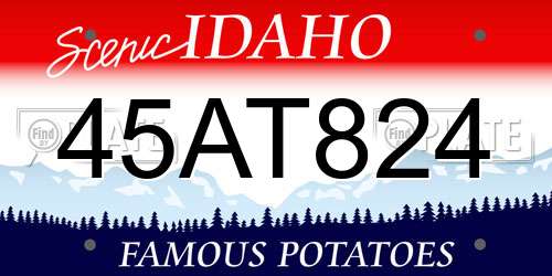 45AT824 Idaho License Plate