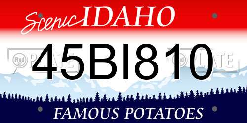 45BI810 Idaho License Plate