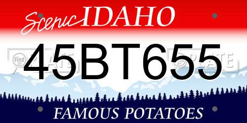 45BT655 Idaho License Plate