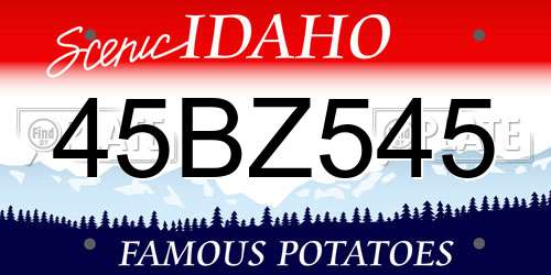 45BZ545 Idaho License Plate