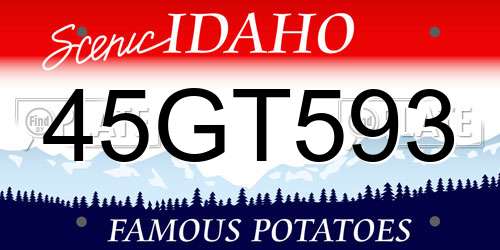 45GT593 Idaho License Plate