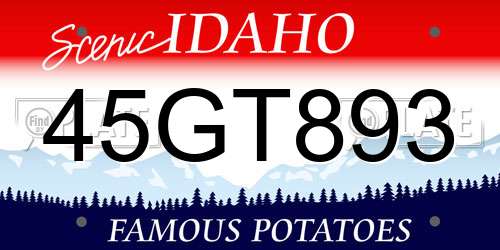 45GT893 Idaho License Plate