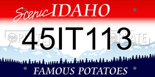 45IT113 Idaho License Plate