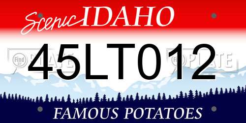 45LT012 Idaho License Plate