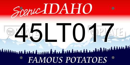 45LT017 Idaho License Plate