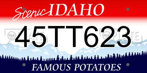 45TT623 Idaho License Plate