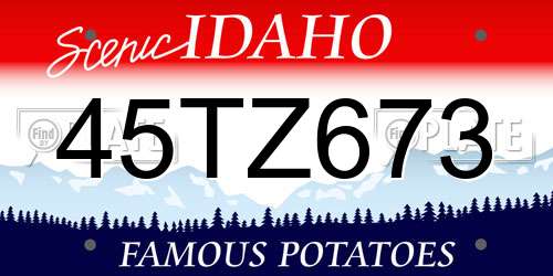 45TZ673 Idaho License Plate