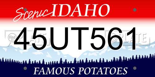 45UT561 Idaho License Plate